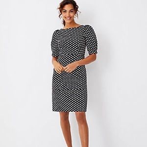 Ann Taylor Black and White Dot Dress, size 6.
